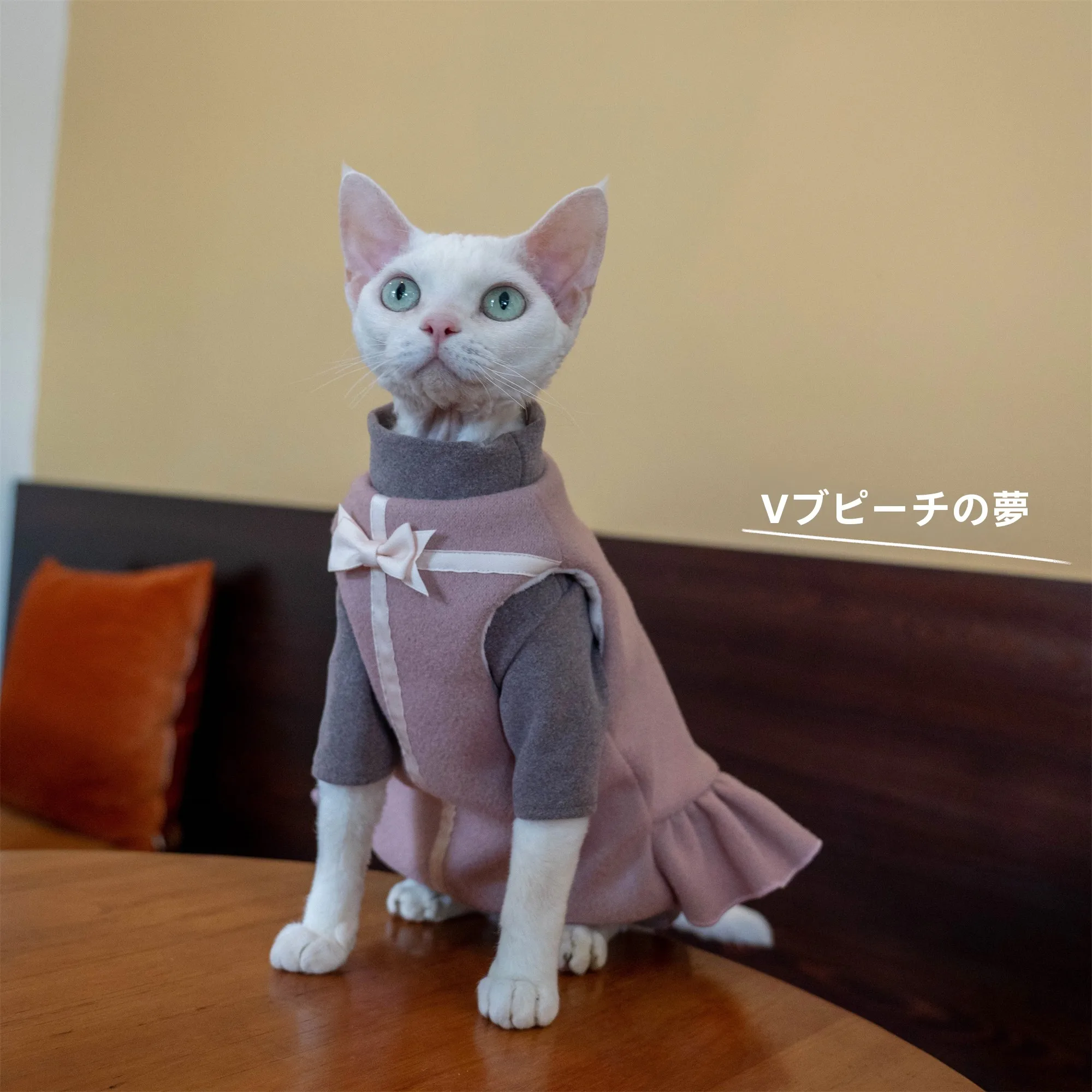 猫 ワンピース ベストギフト ウール フリース：冬期の猫向けファッションアイテムの実用性と適用範囲