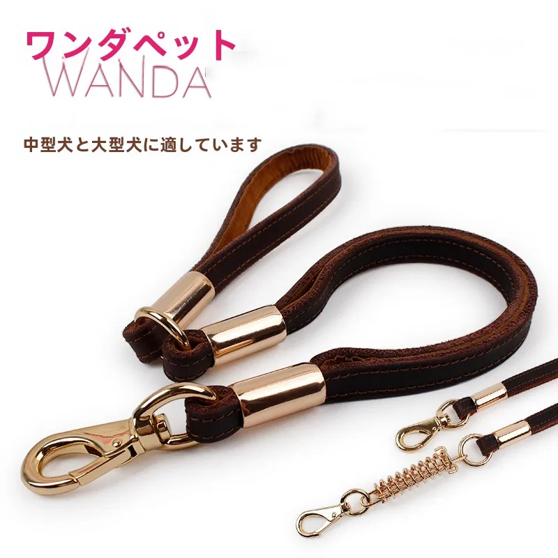 犬のお散歩グッズをコスパ良く揃える方法　完全ガイド