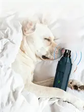 大容量ペット用爪切り器【犬用・白鹅绒・爪磨き機能付き】