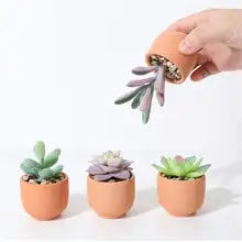 リアルな多肉植物風の造花鉢植え【クリエイティブデザイン・デスクトップ・リビングルーム装飾】