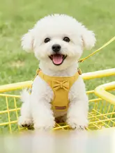 ハーネス型 犬用リード【小型犬・テディ・ビションフリーゼ・ポメラニアン対応】