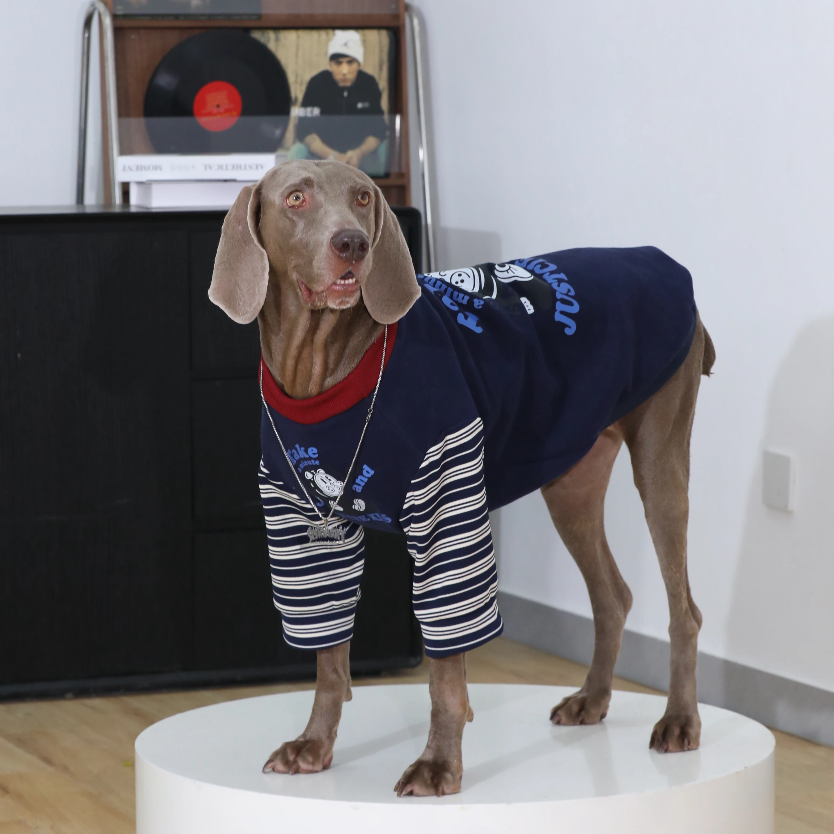 大型犬用秋冬セーター：ラブラドール・ゴールデン・ボーダーコリー向けの裏起毛デザイン