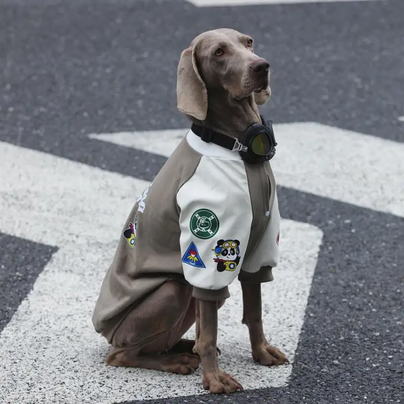 中大型犬用フリース入りボンバージャケット：秋冬の保温性能と実用性を徹底検証