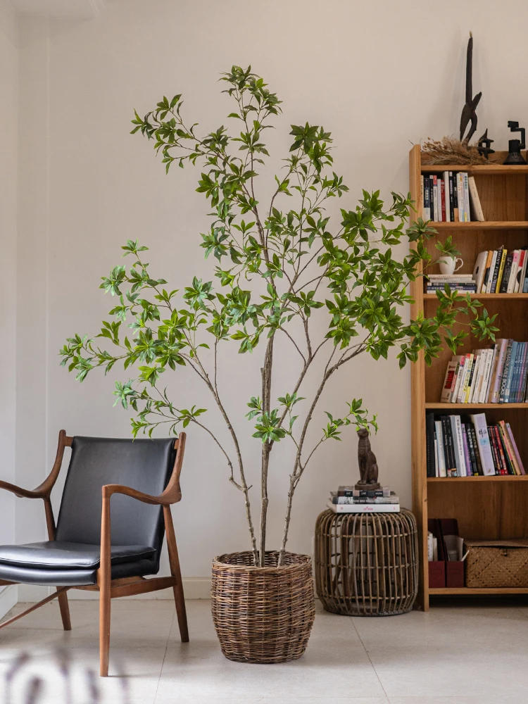 リビングに観葉植物を置くなら、どうやって「おしゃれ」に仕上げるの？