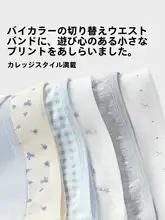 通気性抜群のコットン抗菌女性用三角ショーツ【大きいサイズ】