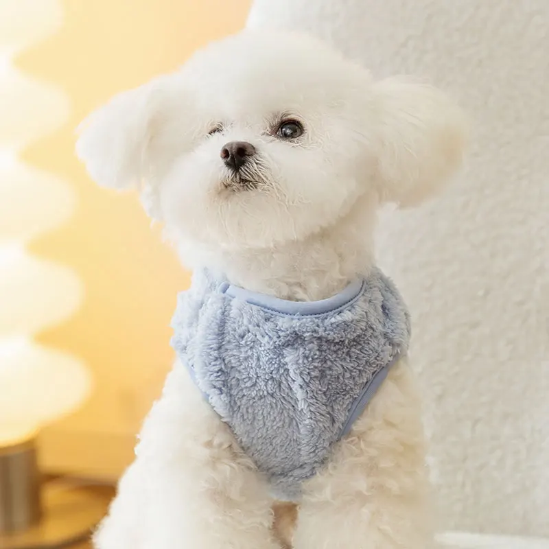 生後3ヶ月の犬に着せたら、まるで人間の冬物ベストみたいに見えるのはなぜ？