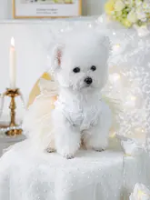 ペット用公主スカート【小型犬・薄手・かわいいデザイン】