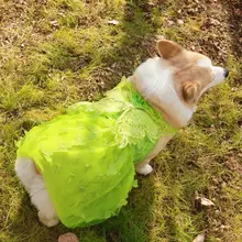 犬用プリンセスドレス【コーギー・柴犬・テディベア風・透け感あるメッシュ・UVカット・通気性】
