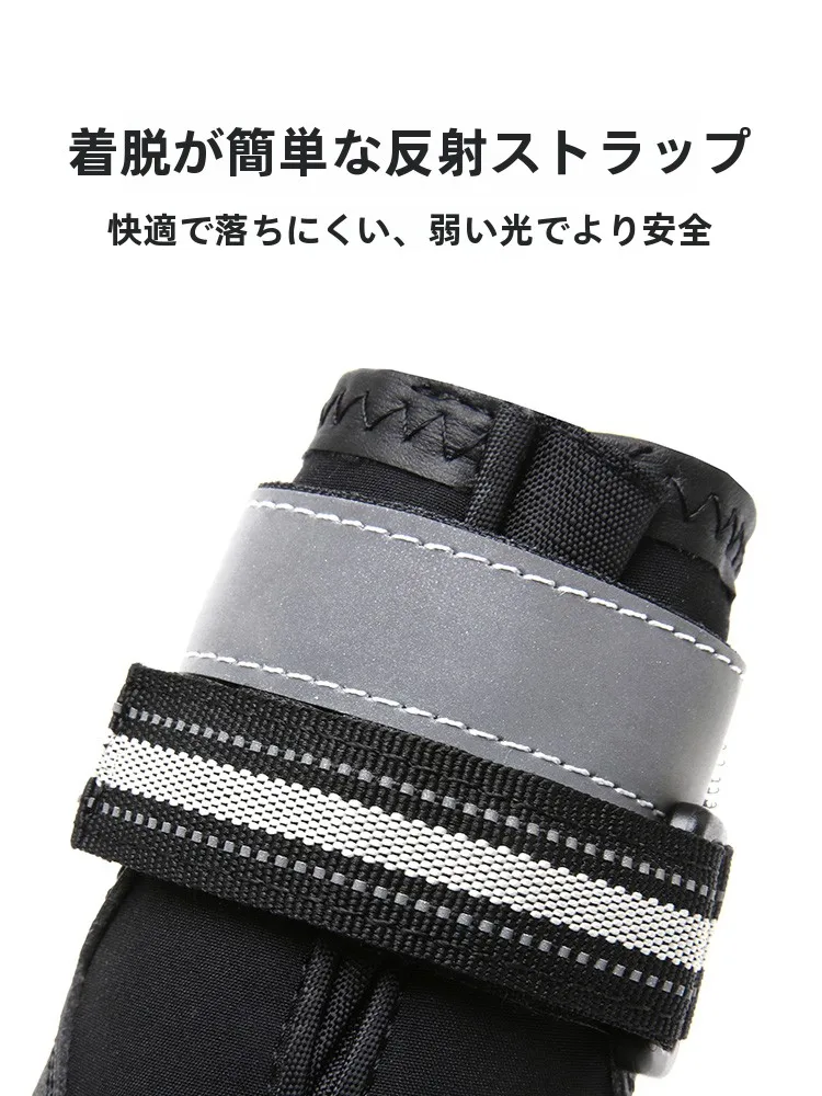 犬のお散歩グッズをコスパ良く揃える方法　完全ガイド