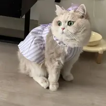 猫用 夏用 プリンセススタイル 薄手ドレス【毛が抜けにくい・ブルー・ホワイト・金色グラデーション・紫】