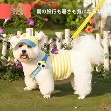 小型犬用Y型ハーネスとリードセット【春秋用・通気性素材】