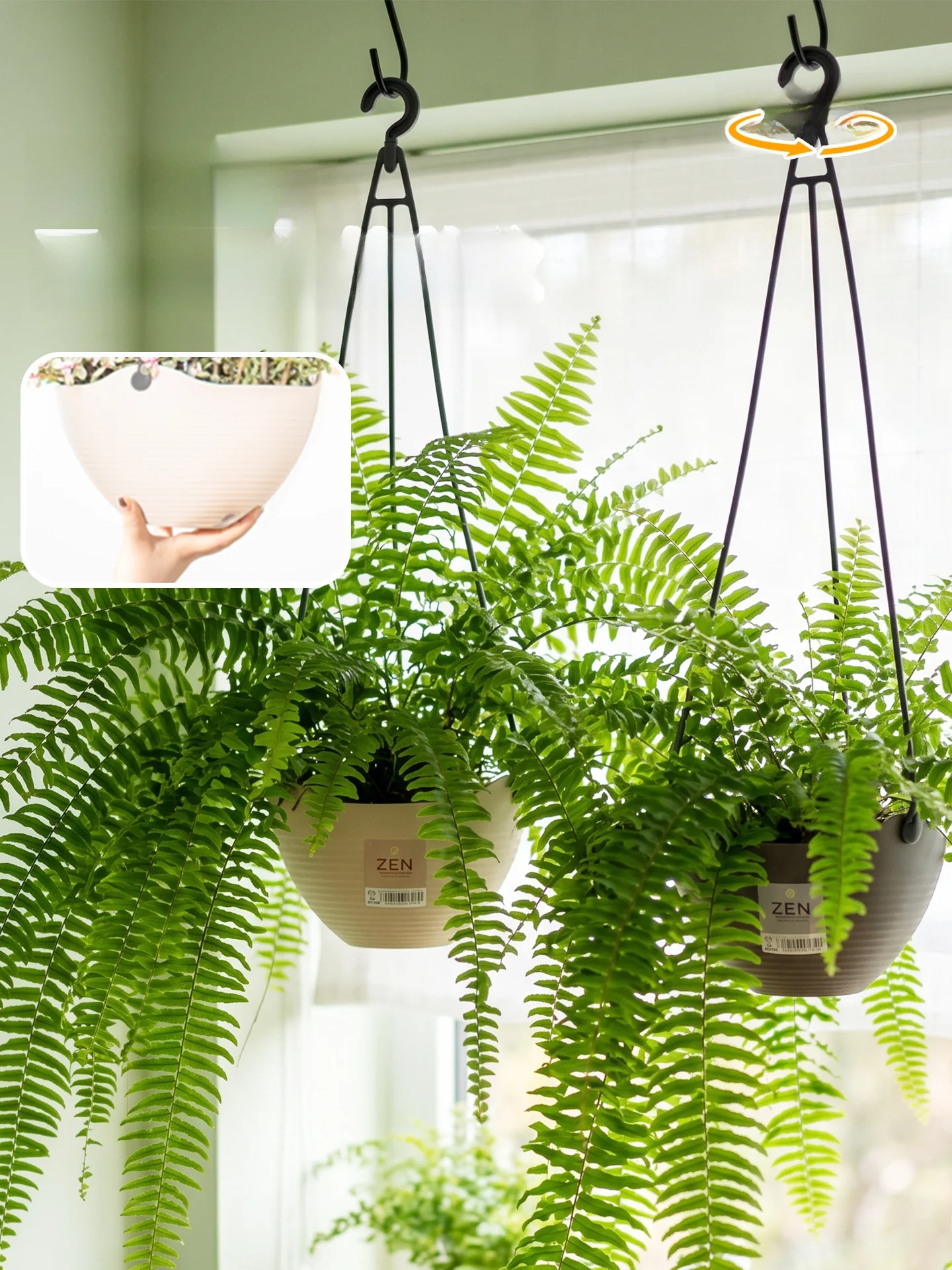 世  話が苦手な人でも育てやすい観葉植物は、本当に存在するの？