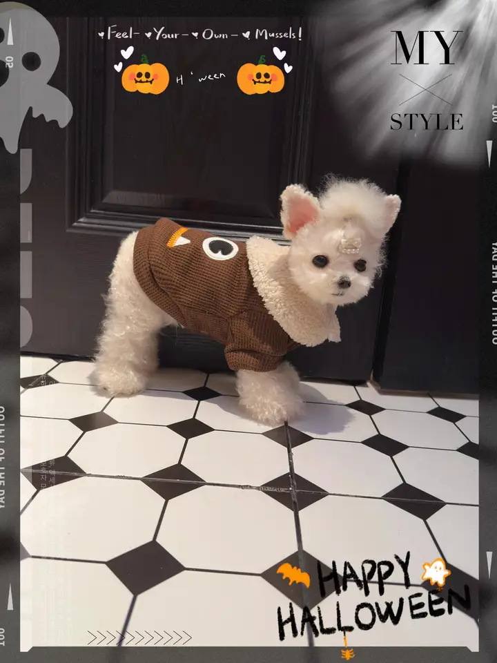 冬用厚手マルチーズパーカー【牽引付き・ハロウィン用・ビションフリーゼデザイン】
