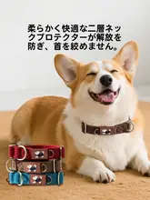 hipidog 愛犬用首輪とリード【中型・大型犬用・迷子防止機能】