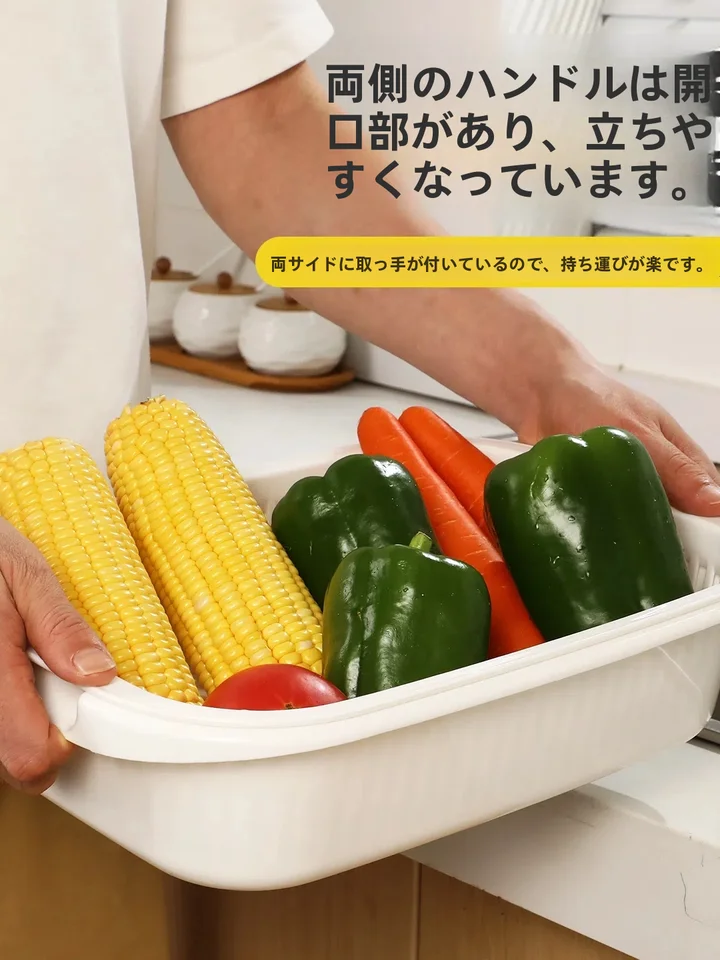 長方形洗面器【二層構造・水切りバスケット・キッチン用・プラスチック製】