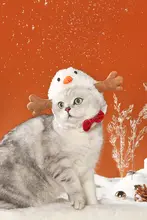 UFBemo ペット用 冬用スノーマン帽子【猫・犬用・可愛い撮影用・クリスマス装飾】