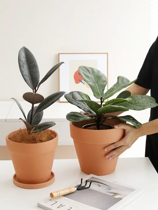 プランター 多肉植物に適した 丸型 粗陶の通気性 現代的・シンプル