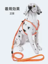 犬用 ハーネス 胸部装着式 リード付き【夏用・大型犬・小型犬対応】