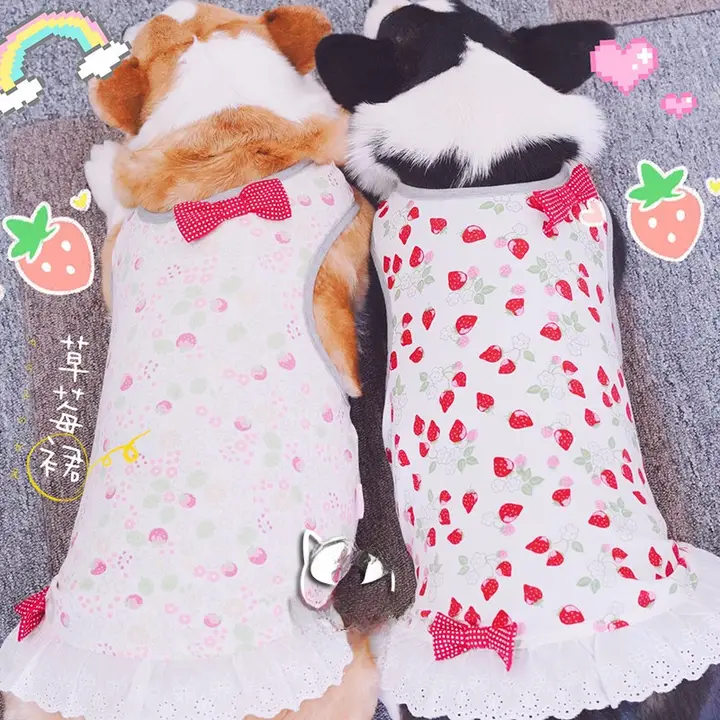 可愛い草莓柄ドッグウェア【冷感素材・柴犬・コーギー用】