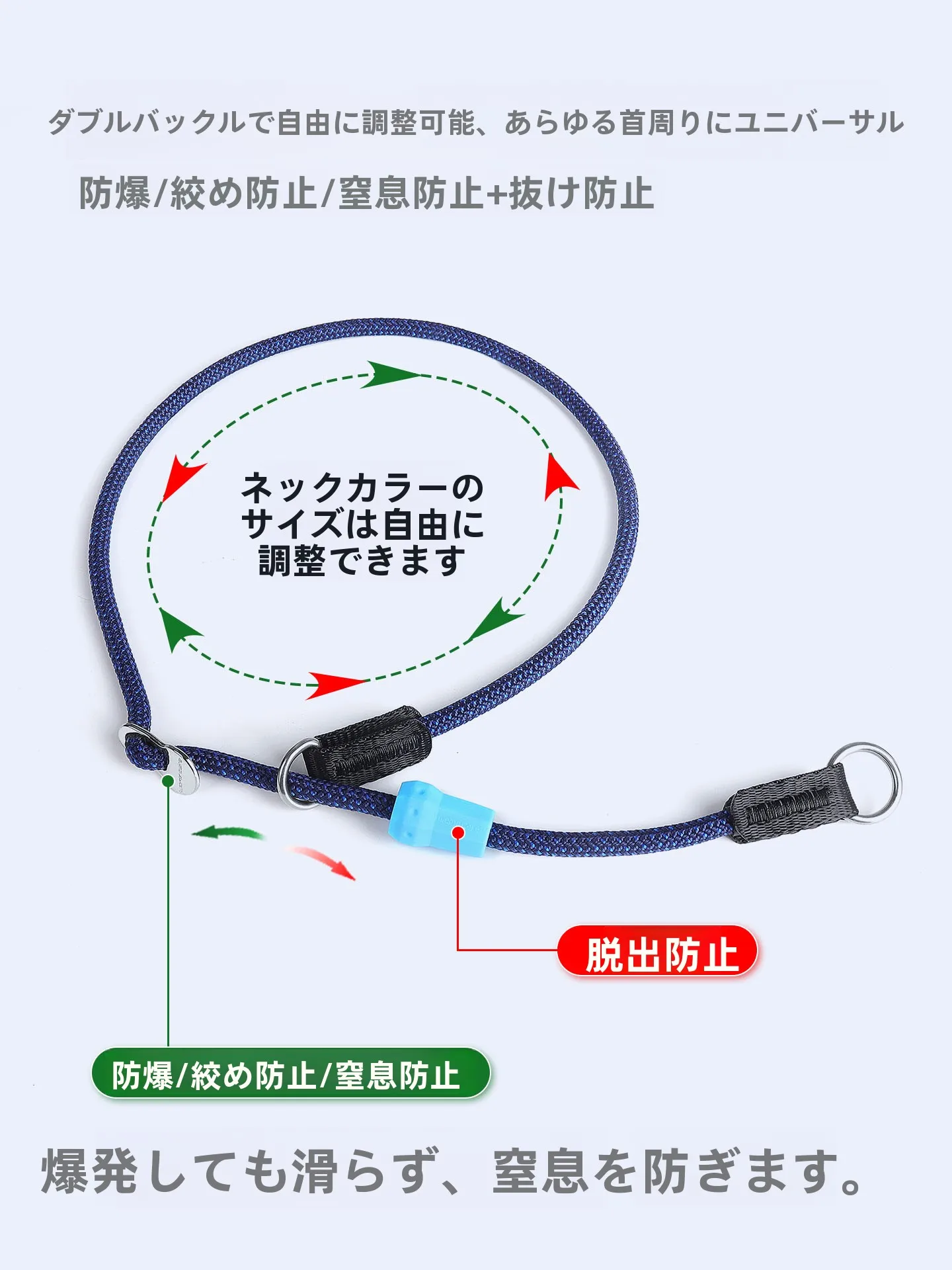 中型犬の散歩に欠かせないリードは、どんなものにすべき？