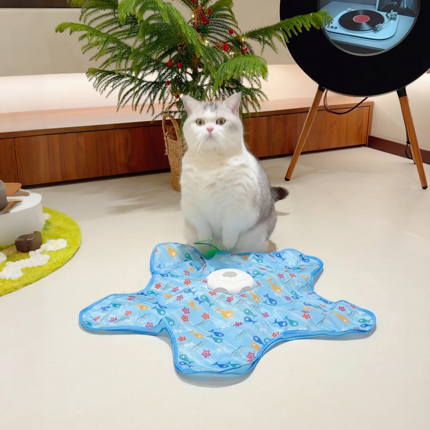 電動狩猟マット小魚モデル：3歳児向け数字おもちゃの最新技術を実証する