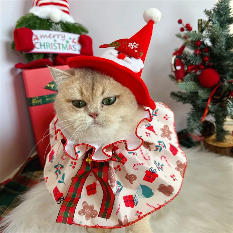 クリスマスに犬に着せたい「サンタ服」は、どう選ぶ？