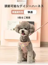 ペット用 犬用ハーネスリード【小型・中型犬対応・テディベア・散歩用】