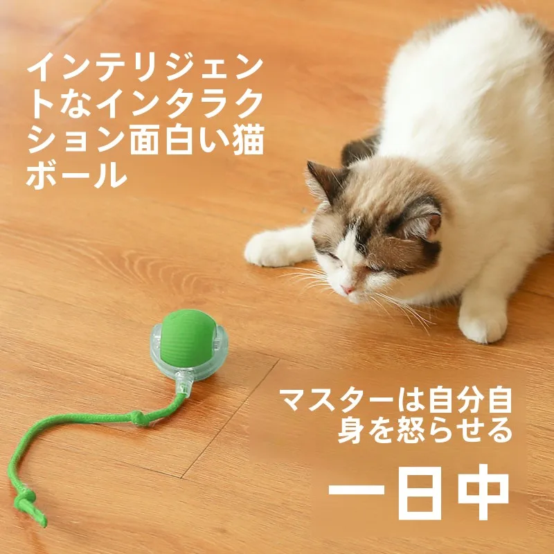 くすぐり機械を選ぶべきタイミングは？ハプトロックの「猫のおもちゃ 電動 自発的な退屈解消器 衝突回避」がなぜ人気なのか