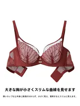 大きなカップのソフトワイヤー ブラジャー【セクシーなレース・大胸を目立たなく】