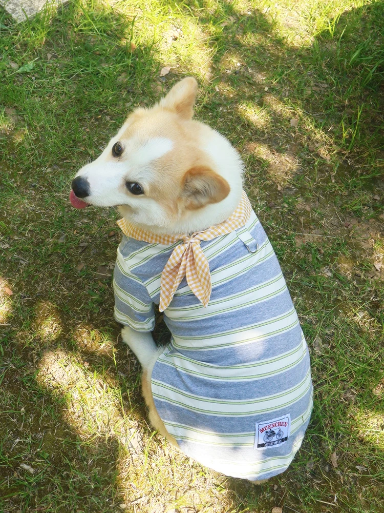 春夏用犬用ウェア：柴犬・コーギー向け短袖Tシャツの機能と適用シーン