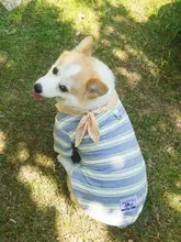 春夏用 犬用ウェア【毛防止・UVカット・防汚・柴犬・コーギー用・短袖Tシャツ】