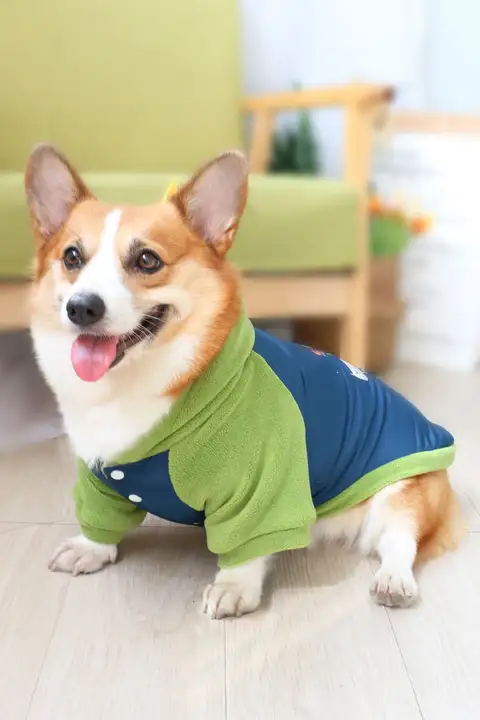 犬用秋冬用ウエア【保温・可愛い・厚手・コーギー・テディ・ビション・柴犬対応】