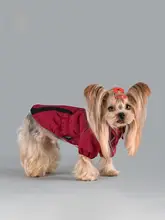 小型犬用 冬用防寒ジャンパー【保温性・リードフック付き・コーギー・ビションフリーゼ対応】