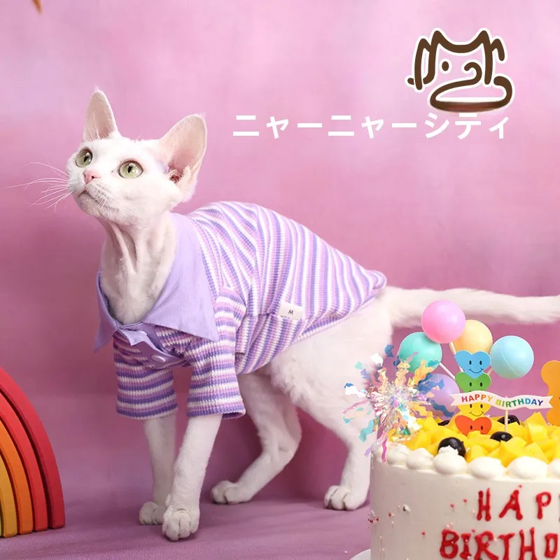 猫カフェで着る衣装は、本当に「猫っぽい」もので決まるの？