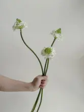 フェイクフラワー 装飾 植物 フラワーアレンジメント撮影小道具 グリーン