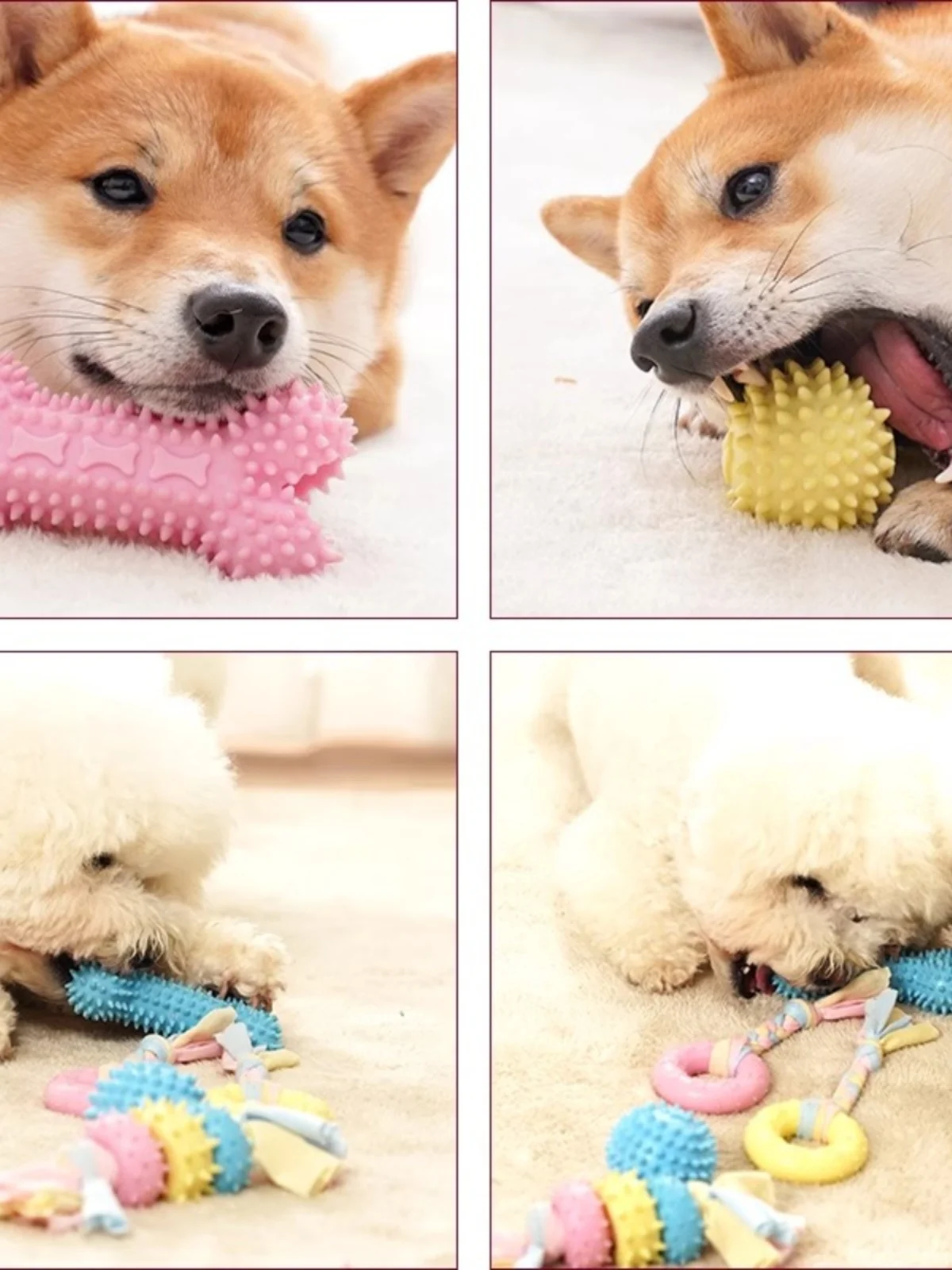 犬用おもちゃボール【噛むことができる知育トイ・子犬用・歯磨きおもちゃ】とは何か