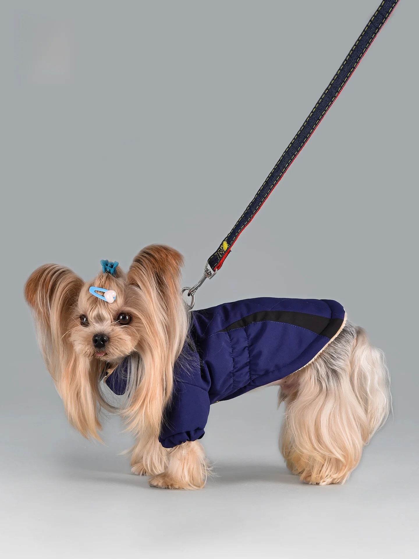 小型犬用冬用防寒ジャンパー：保温性とリードフック付きの実用性を徹底検証