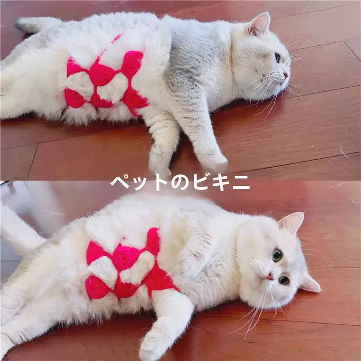 手作り毛糸猫用ビキニ【ペット用・面白いインナー・撮影小道具】
