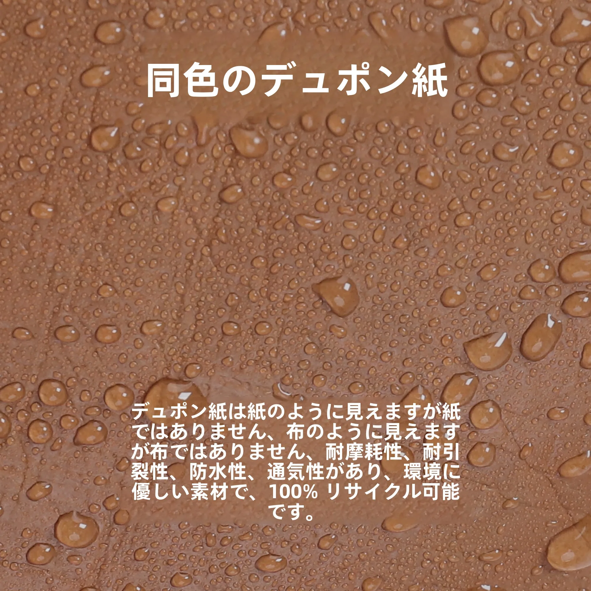 ミスド バッグとMollieバケツバッグ、どちらが日常の持ち物に最適か？