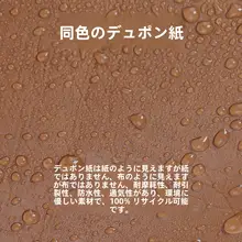 Mollieバケツバッグ【同色デュポン紙インナーポーチ・全金棕】