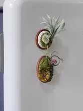 DIY立体刺繍用緑植物キット【木製マグネット付き・インテリア装飾用】