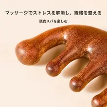 天然木製 五爪頭皮マッサージブラシ【経絡マッサージ・効果】
