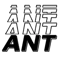 Ant Studio