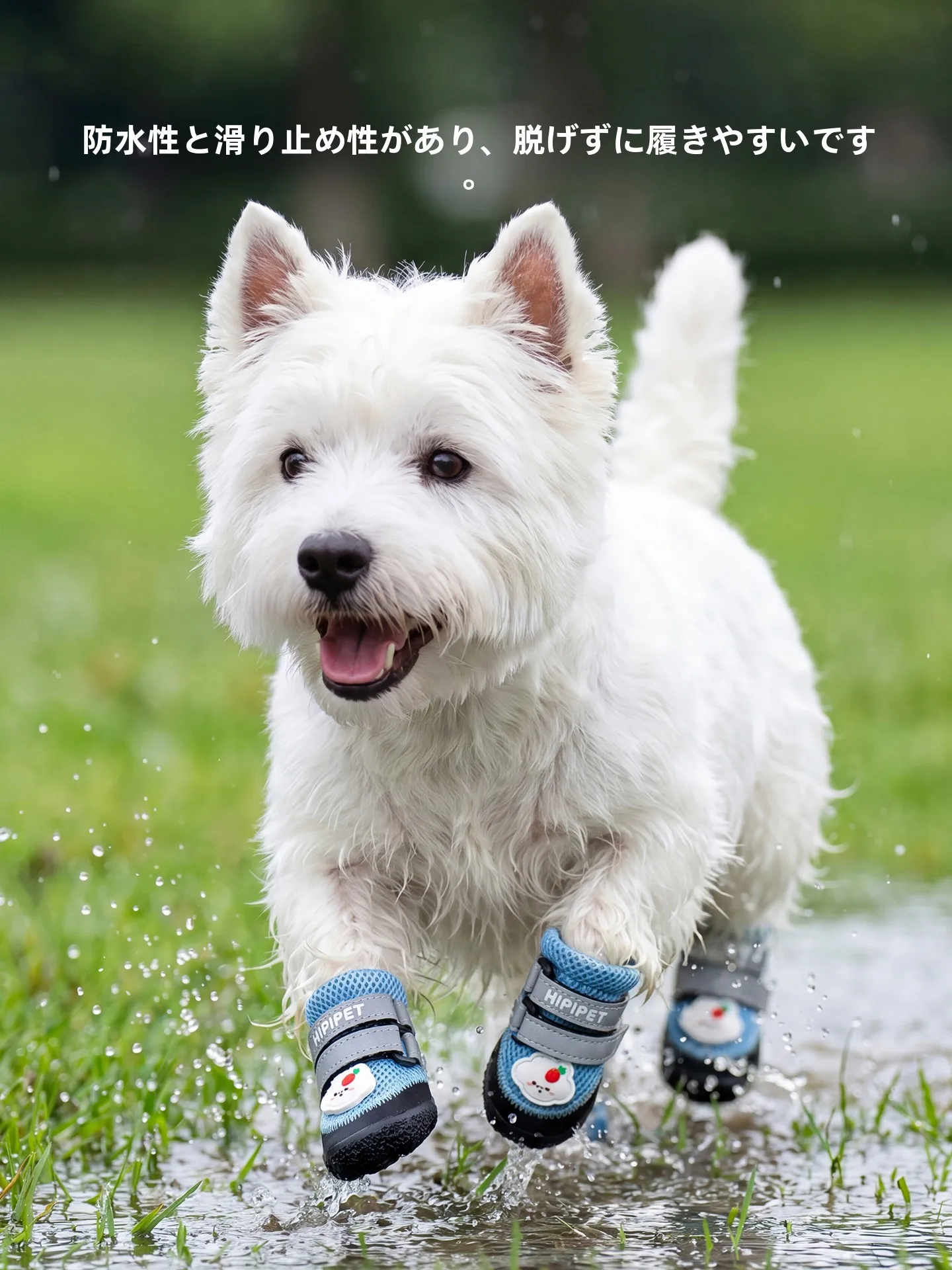 子供向けペットの安全な散歩サポートとしてのhipidogソフトソールシューズ