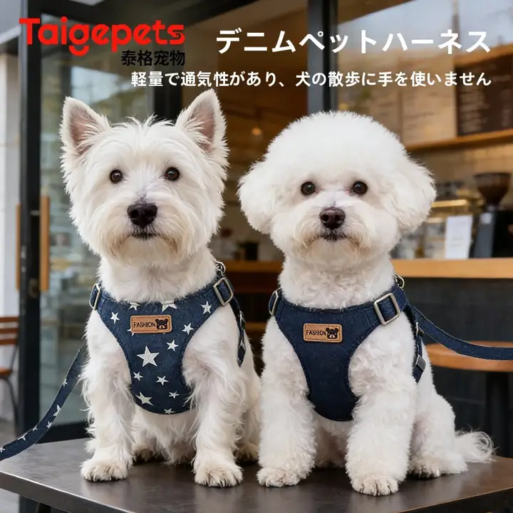 中小型犬用 調節可能なハーネスリード【お散歩・テディベア・ビション・便利なデザイン】