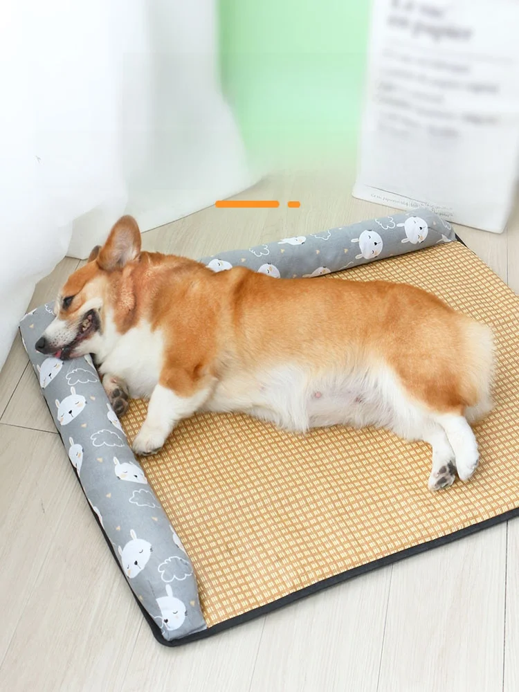犬の暑さ対策で迷うなら、これひとつで解決できる？