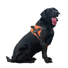 犬用ハーネス付きリード【中大型犬用・外出用】（セットアップ対応）