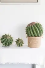 リアルな質感の一枝サボテン風観葉植物【室内装飾・サボテンタイプ】
