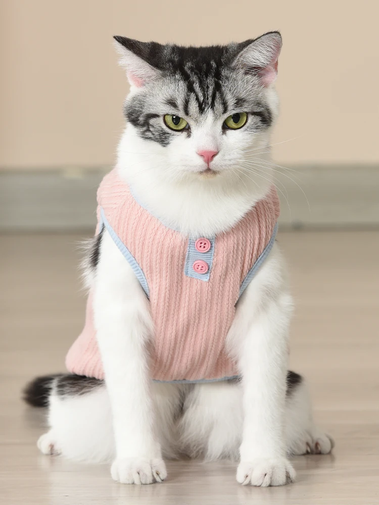 猫飼いが買ってよかったもの・悪かったもの正直に言う | 秋冬用猫用防脱毛ニットセーターの実際の効果