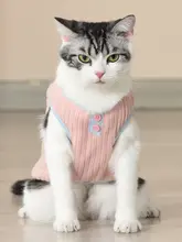 秋冬用 猫用防脱毛ニットセーター【英短銀グラデーション・暖かい・リード付き】